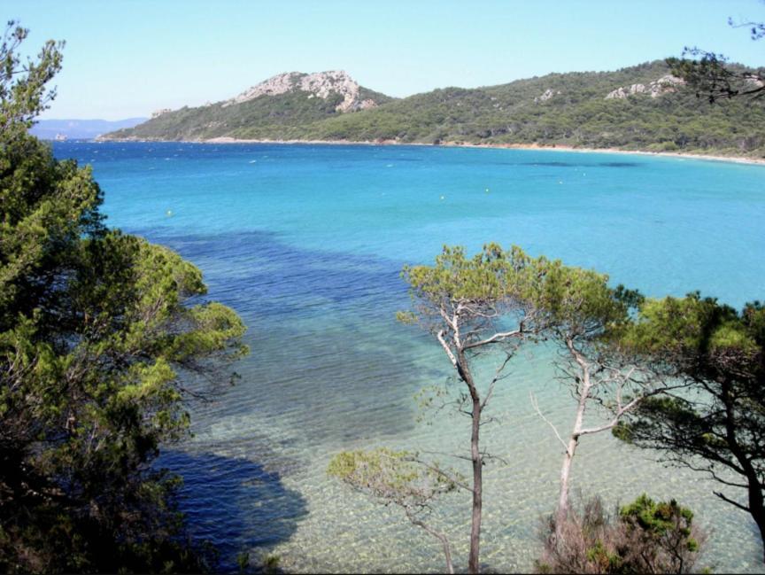 Superbe T2 Proche Des Plages Et Des Commerces Hyeres Bagian luar foto